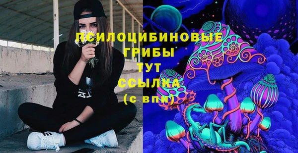 дмт Лабытнанги