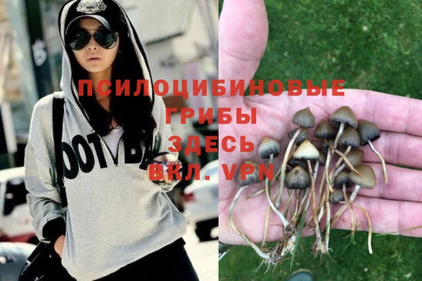 мяу мяу мука Ладушкин