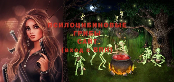 дмт Лабытнанги