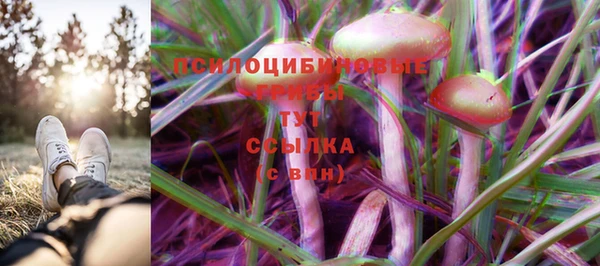 мяу мяу мука Ладушкин