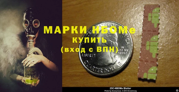 дмт Лабытнанги