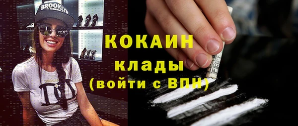 дмт Лабытнанги