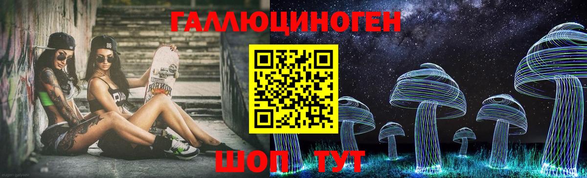 Псилоцибиновые грибы Psilocybine cubensis Маркс
